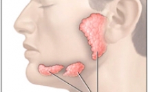 Nước bọt và tác dụng trị liệu