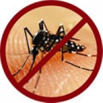 Cảnh giác với cúm A/H1N1 nhưng không lơ là bỏ quên Sốt xuất huyết - Tay chân miệng