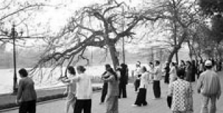 Bệnh Alzheimer